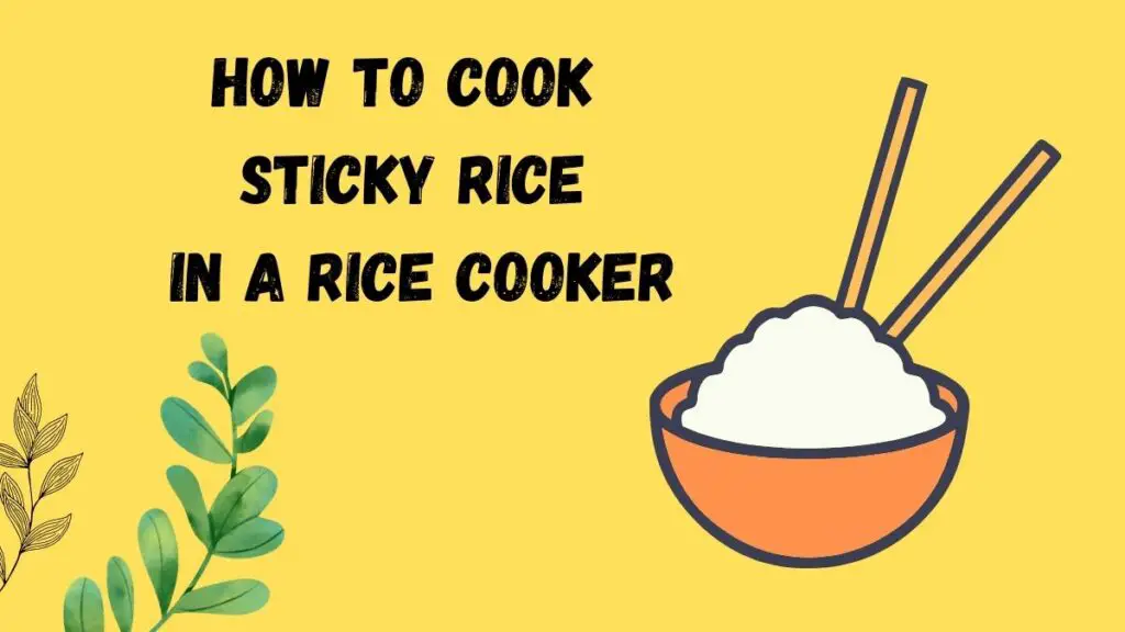 How to cook Sticky Rice in a rice Cooker guide