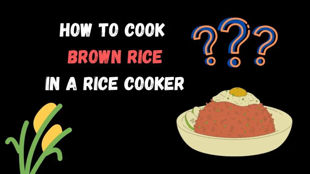 How to cook brown rice in a Rice Cooker? best guide